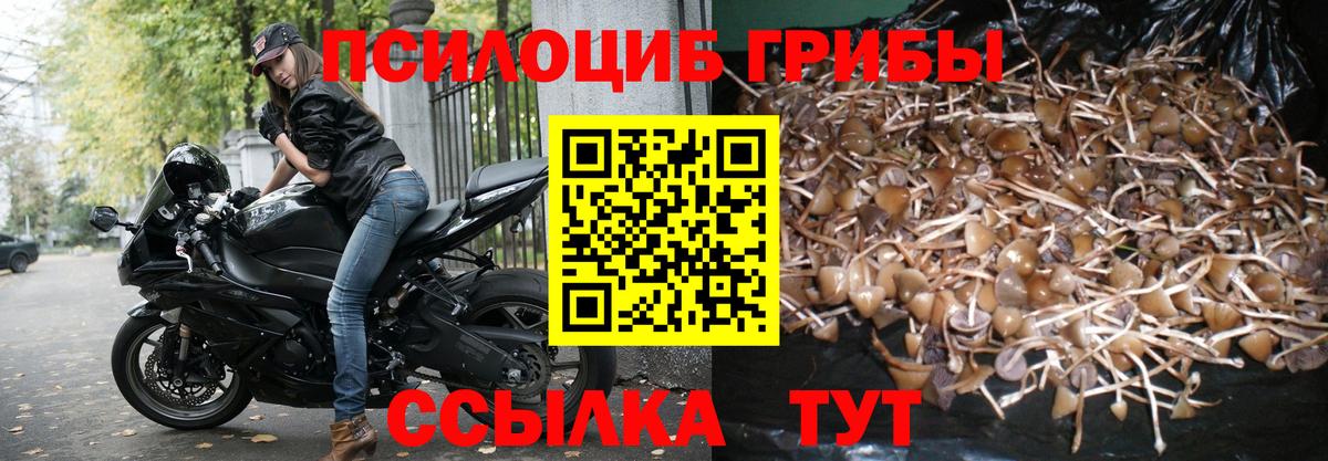 Туапсе  Галлюциногенные грибы мицелий  Вход с VPN 