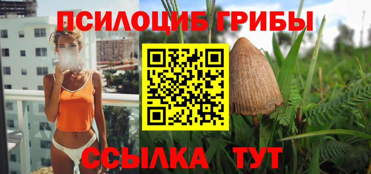 Галлюциногенные грибы Psilocybe Туапсе